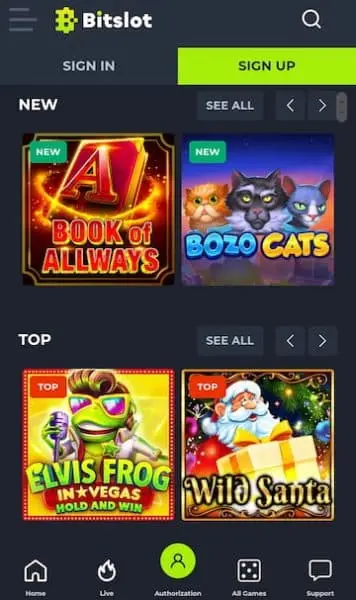BitSlot Casino App