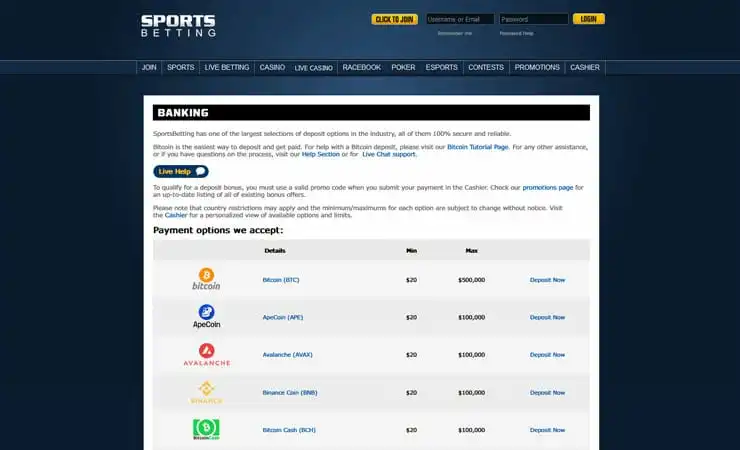 SportsBetting.ag Banking Payments