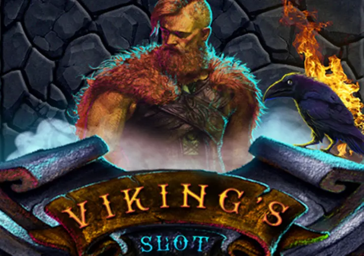 Viking Cover