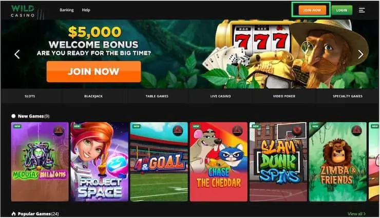 Wild Casino Neteller casino registration step 1