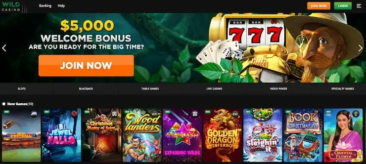 Wild Casino Top MI Crypto Casino