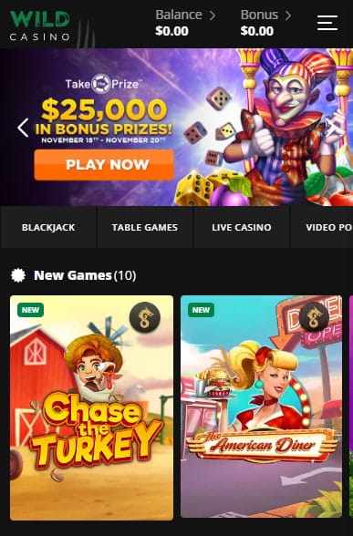 Play Real Money Blackjack at Wild Casino
