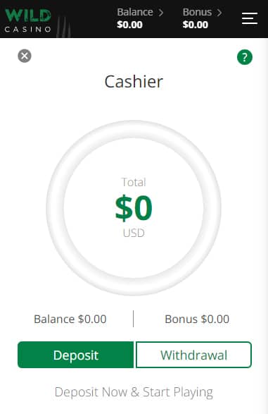 Select Bonus or Promo Code and Make a Deposit