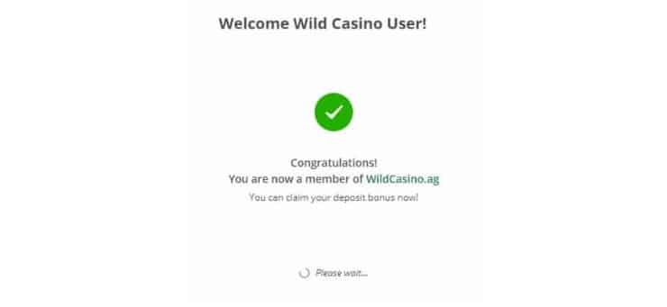 Wild Casino Email Verification Window