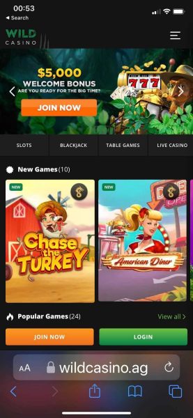 Wild Casino Iphone Blackjack App