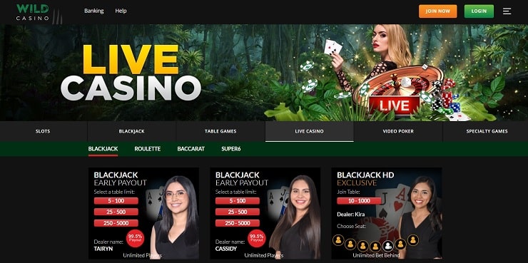 Wild Casino Live Dealer Games