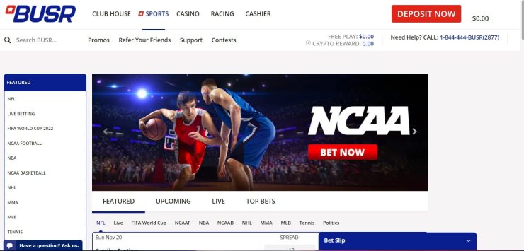 BUSR homepage