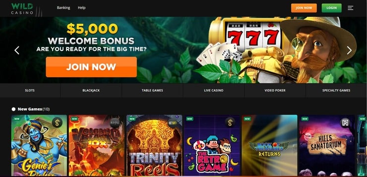 Wild Casino
