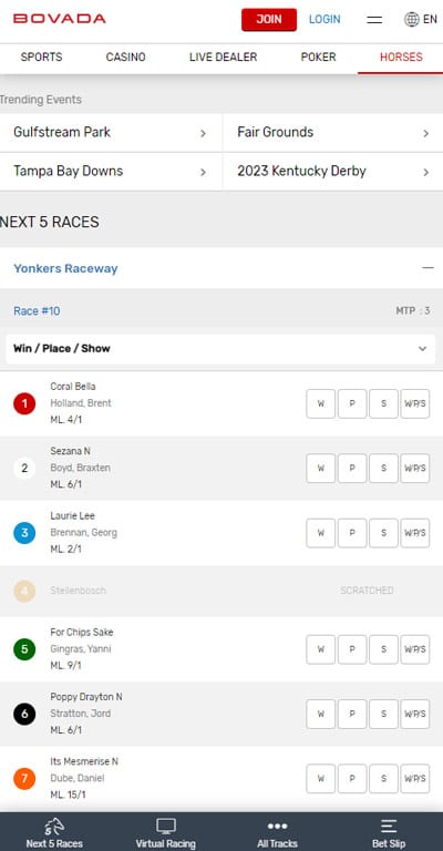 Bovada Racebook