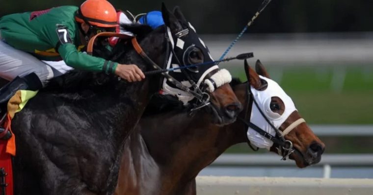 horse racing betting