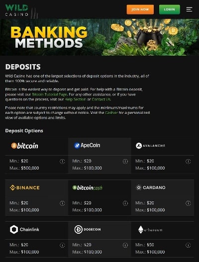 FL Casino Apps - Deposit