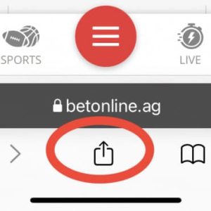 Safari Menu