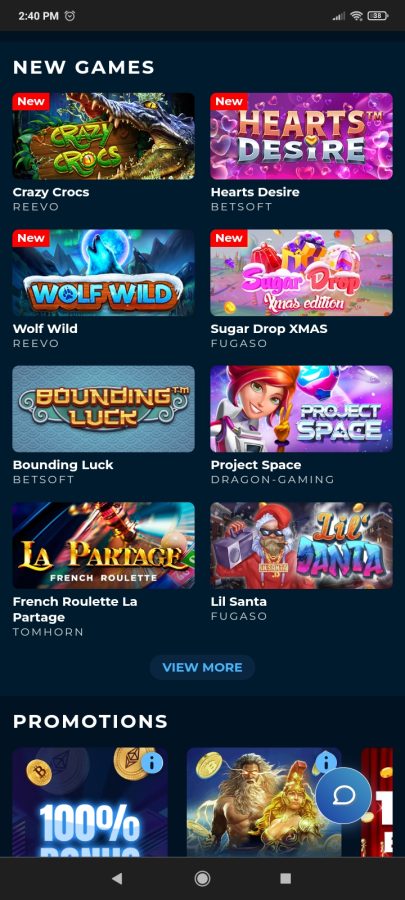 Punt Casino Mobile