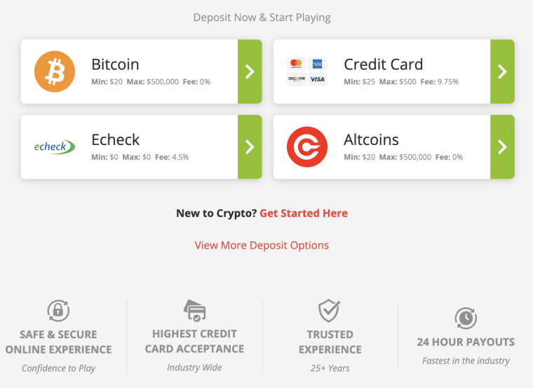 BetOnline Deposit Screen