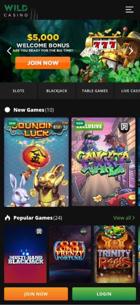 Wild Casino Best TX Casino App