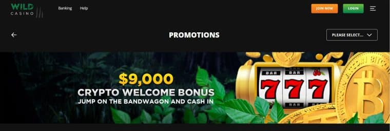 Wild Casino site like Bitstarz