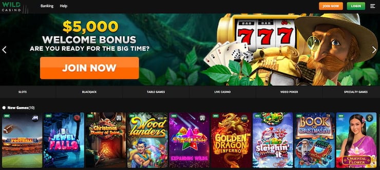 Wild Casino Top MI Crypto Casino