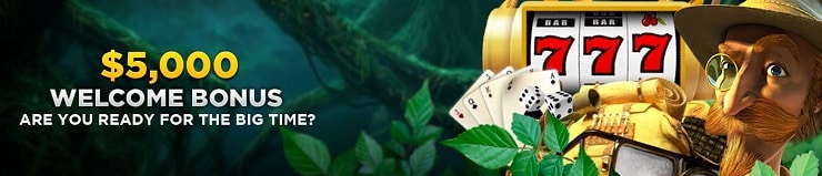 Wild-Casino-Welcome-Bonus