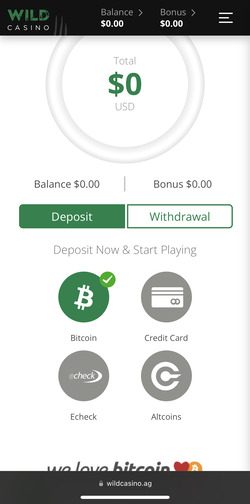 Wild Casino cashier screen