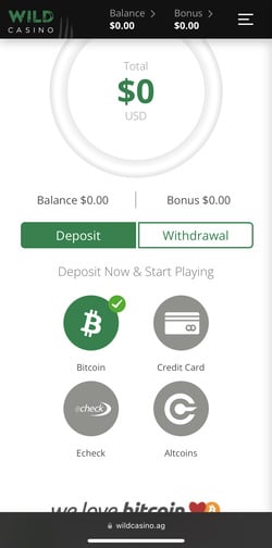 Wild Casino deposit screen