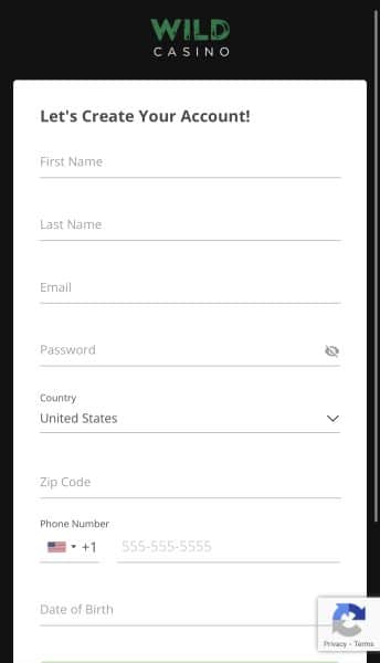 Wild Casino Details Page 