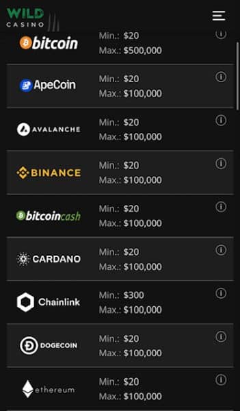 Wild Casino banking page 
