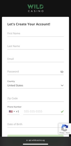 Wild Casino Sign Up Web Form
