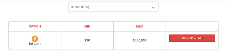 BetOnline Deposit Page