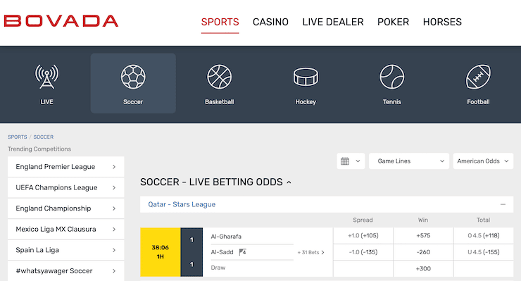 Bovada MLS betting