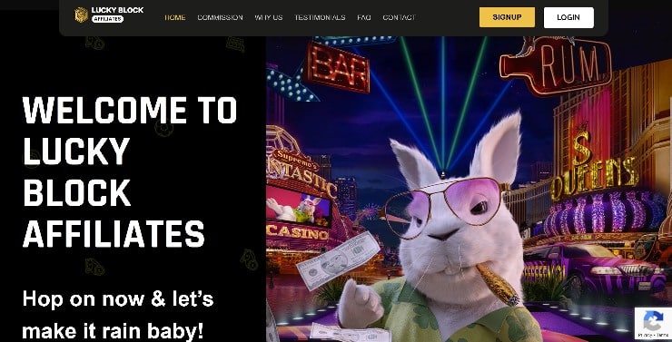 Casino affiliate programs - Lucky Block