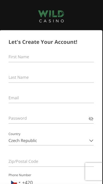 Enter Your details on Wild Casino