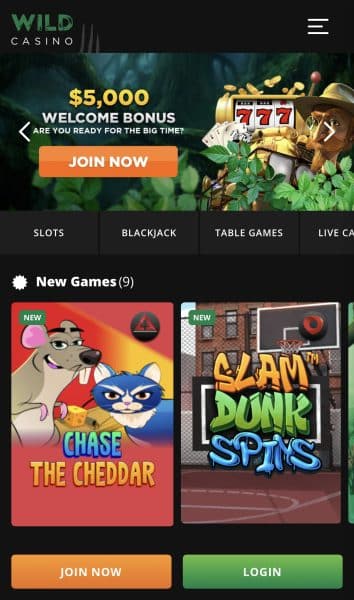 Wild Casino
