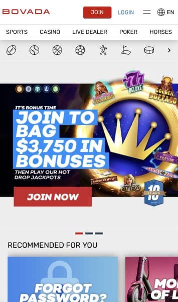 Bovada