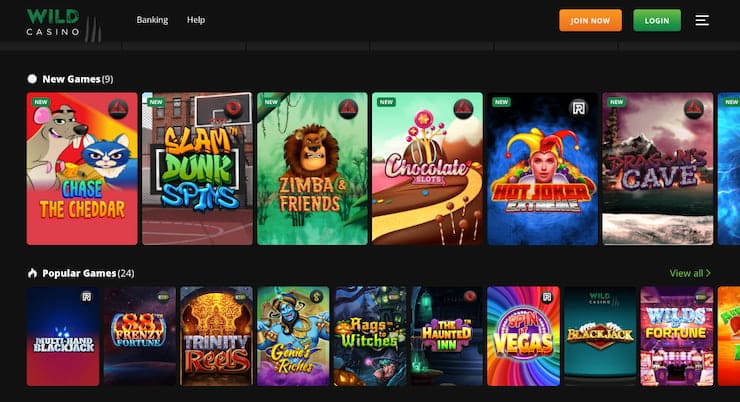 NJ Online Casino Games at Wild Casino