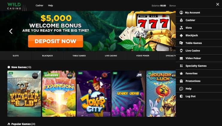 Wild Casino Game Selection