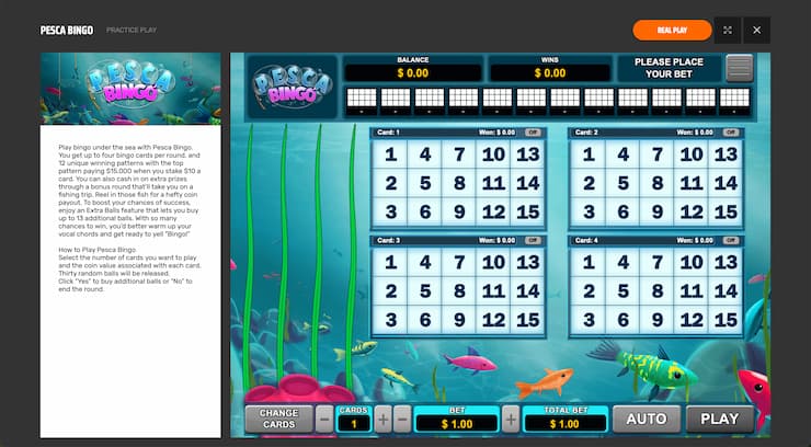Ignition Online Bingo
