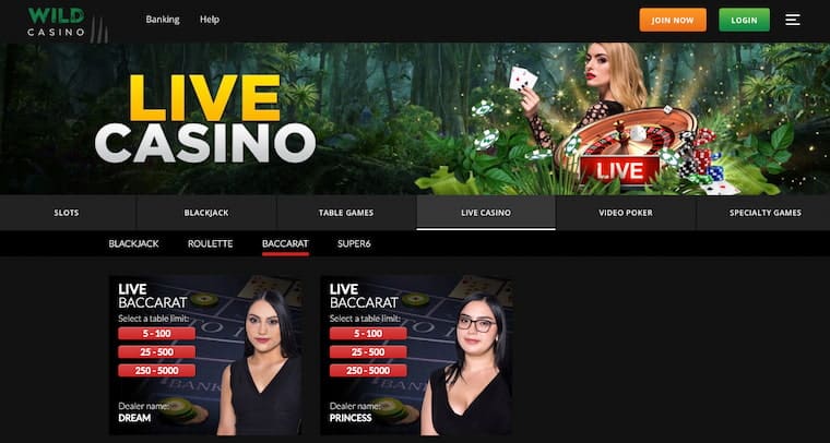 Wild Casino live baccarat