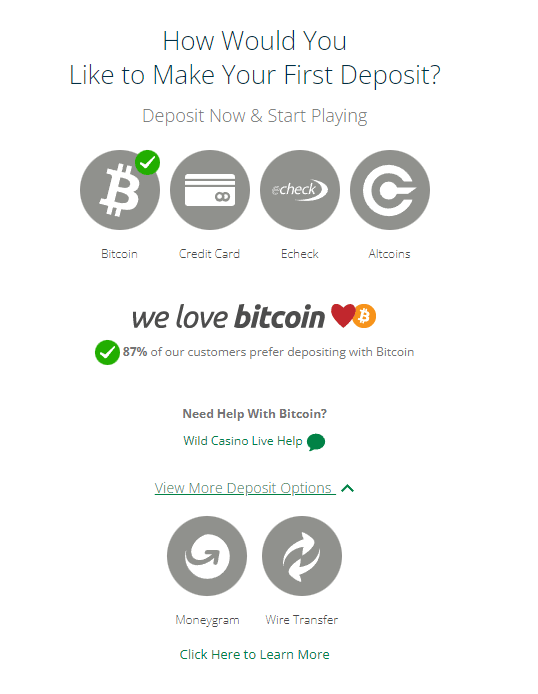 WildCasino deposit options