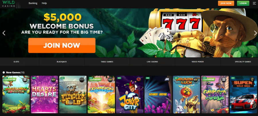 Wild Casino Best Texas Online Casino