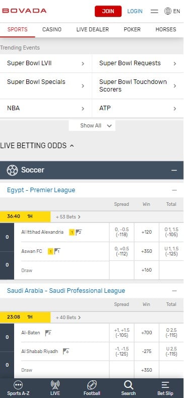 bovada - top mobile wyoming betting