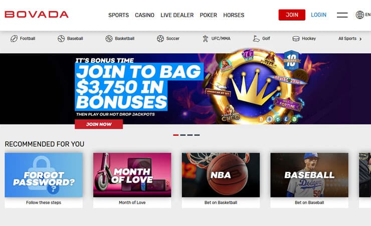 Bovada