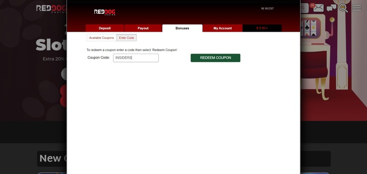 Red Dog Casino bonus input