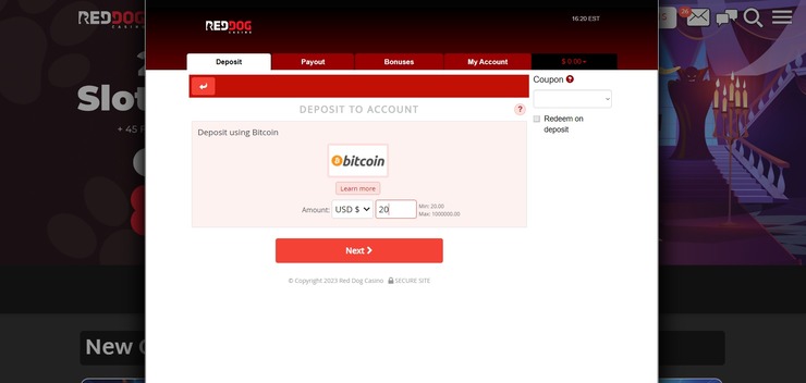 Red Dog Casino Deposit Section