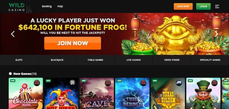 step 1 wild casino