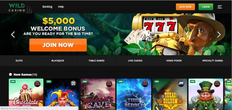 wild casino