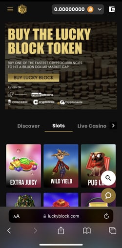 Safari menu button