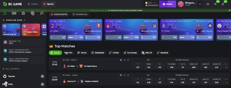 BC.Game Tether Betting Site