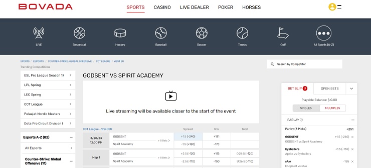 Bovada CS:GO Betting