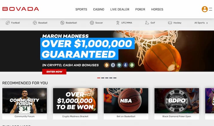 Bovada live betting