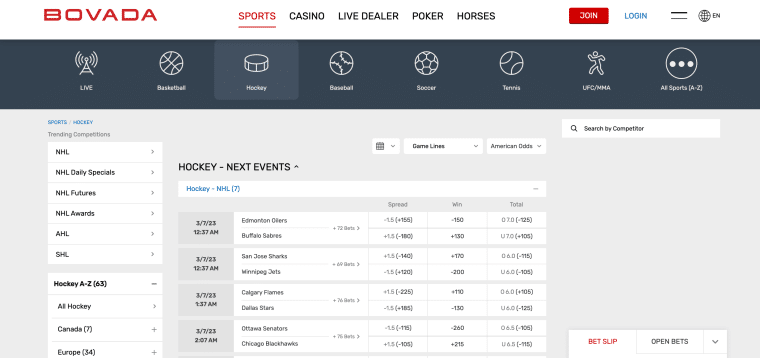 bovada - betting on nhl